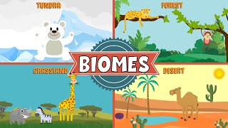 Biomes of the World  Types of Biomes  Video for Kids [upl. by Yennej824]