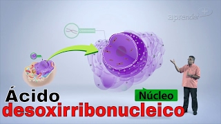 Biologia  DNA  Parte 12 [upl. by Alle]