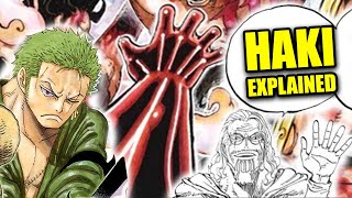 Haki  ONE PIECE EXPLAINED [upl. by Adaj]