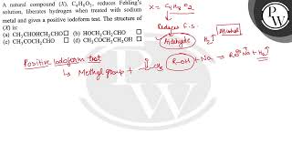 A natural compound X C4H8O2 reduces Fehlings solution liberates hydrogen when treated wi [upl. by Maurise617]