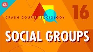 Social Groups Crash Course Sociology 16 [upl. by Horan]