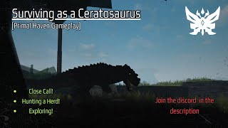 Surviving as a Ceratosaurus  Primal Haven Gameplay  Roblox [upl. by Brote]