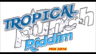 TROPICAL PUNCH RIDDIM MixJuly 2016 TRUE GIFT ENT [upl. by Onailerua]