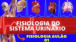 FISIOLOGIA DO SISTEMA URINÁRIOEXCRETOR FISIOLOGIA DE GUYTON  FISIOLOGIA RENAL  AULÃO FISIOLOGIA [upl. by Em]