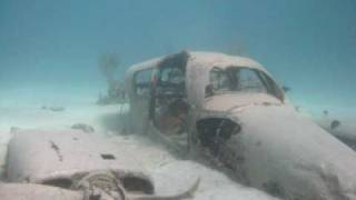 Stuart Coves Snorkel Bahamas [upl. by Nnaeirelav]