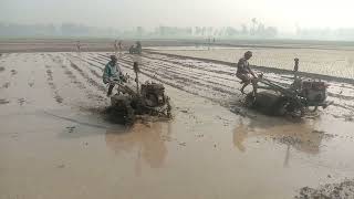 Power tiller rotavator village field power tiller ploughing paddy land [upl. by Reuben892]