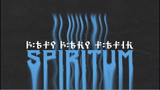 Vini Vici x Maddix x Shibui Spiritum Official Lyric Video [upl. by Gnahc]