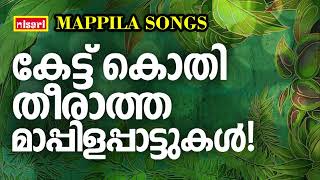 Mappilapattukal  Mappila Pattukal Malayalam  Malayalam Mappila Songs  Old Mappilappattukal [upl. by Nnyl751]