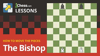 The Bishop  How to Move the Chess Pieces [upl. by Aicssej]