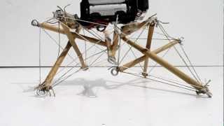 Bamboo Tensegrity Robot Shi [upl. by Naleek]