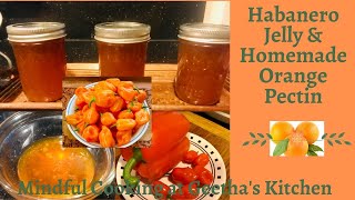 How to make Sweet amp Spicy Jelly  Habanero  homemade orange Pectin  Marmalade  dip  Spread 69 [upl. by Vrablik]