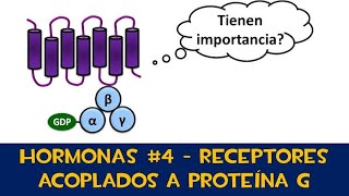 Receptores acoplados a proteína G  metabotropicos [upl. by Korenblat]