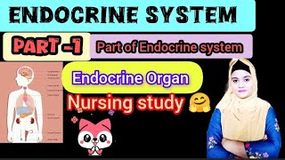 Endocrine system 😃❤ part 1 nursing study 🤗💖 anatomy and physiologynursing bscnursing [upl. by Nilauqcaj71]