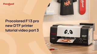 Procolored new DTF pro printer tutorial video part 3 print test page to check the printhead status [upl. by Leibman]