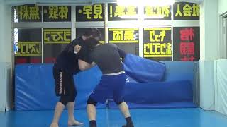 MORE REAL NEW STEVEN SEAGAL vs MMA Jiujitsu AikidoSystemaTMAKung Fu stunts DanTheWolfman [upl. by Lefty]