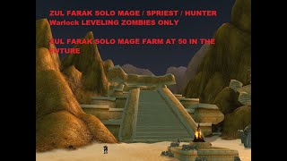 Zul farak solo mage leveling WoW SoD Phase 3 [upl. by Celestine42]