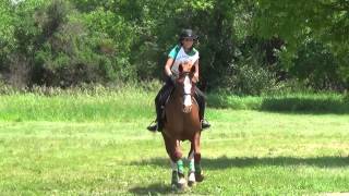 FRVPC Horse Trials Cross Country [upl. by Enahs547]