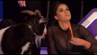 Ian The Goat  Virtually Famous Series 4 Episode 8 [upl. by Tufts723]