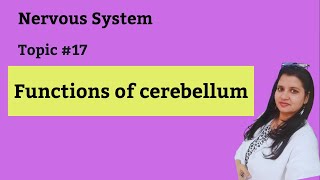 Function of cerebellum [upl. by Fawne]