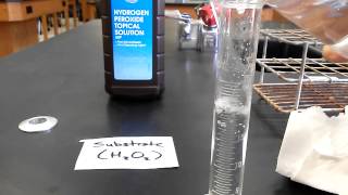 AP Bio Enzyme Catalysis Demonstration [upl. by Cryan768]