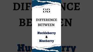 Difference Between Huckleberry and Blueberry  The Great Berry Breakdown Huckleberry vs Blueberry [upl. by Jedidiah80]