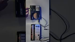 Stylophone Beat sync clock mod korg  roland  pocket operator shorts synth [upl. by Joshua]