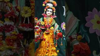 Barsane wali radhe part 12 radha krishna radhekrishna radharani harekrishna [upl. by Roderich]