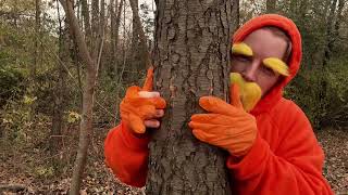 ASMR Lorax  Giving the Trees a Massage [upl. by Mahan]