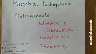 Pathogenic determinants Adhesion Colonization amp Invasion 1  Mechanisms of bacterial pathogenicity [upl. by Esiocnarf9]