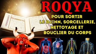 ROQYA BRULURE DJINN AMOUREUX  TRÈS FORTE QUI VA CHASSER LE DJINN DU CORPS  رقية حرق الجن العاشق [upl. by Anailil]