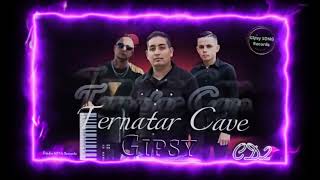 Gipsy Ternatar Cave CD 2  Sestra rano vola COVER 2024 [upl. by Ennayllek]