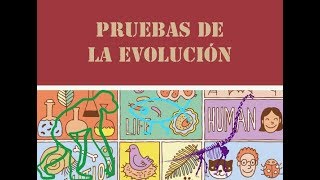 Pruebas de la Evolución [upl. by Asseral]