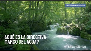 ¿Qué es la Directiva Marco del Agua [upl. by Kalb]