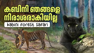 Kabini forest safari karnataka  Nagarhole tiger reserve karnataka [upl. by Panter]