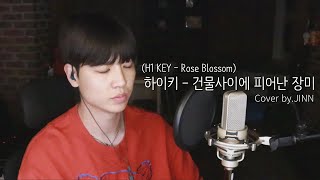 하이키H1 KEY  건물사이에 피어난 장미 Rose Blossom Cover byJINN [upl. by Urita835]