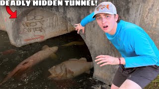 I Saved Fish From a DEADLY Hidden Tunnel [upl. by Noelle]