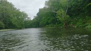 Elkhorn Creek Franklin County Kentucky [upl. by Wood620]