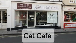 Visit To The Cats Whiskers Cat Cafe York North Yorkshire Uk [upl. by Thomajan719]