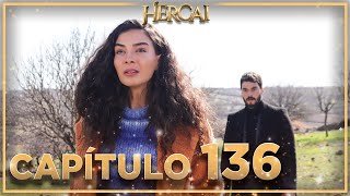 Hercai  Capítulo 136 [upl. by Nhguavaj]