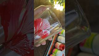 Glass Painting  Floral Art 😍shorts youtubeshorts viralvideo [upl. by Enahsed]