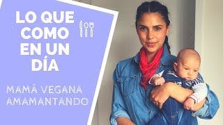 LO QUE COMO EN UN DÍA  MAMÁ VEGANA AMAMANTANDO [upl. by Yarod649]