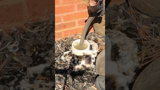 Clearing a mainline sewer blockage 🚽💦 plumbing plumber shortsvideo [upl. by Nylavad]