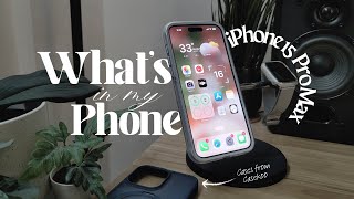 Whats in my iPhone 15 Pro Max 2024  Accessories feat Casekoo Magic Stand Pro Case [upl. by Odranar111]