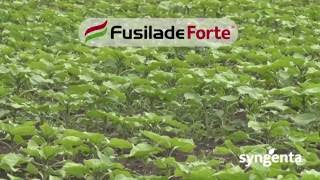 Syngenta herbicidi – Fusilade Forte® [upl. by Hills]