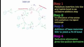 The BuchwaldHartwig Amination Reaction [upl. by Naenej75]