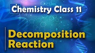 Decomposition Reaction  Redox Reaction  Chemistry Class 11 [upl. by Hteazile]