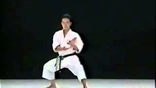 Kata Seienchin shito ryu karate [upl. by Sela]