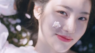 innisfree NEW Jeju Cherry Blossom Toneup Cream BlossomToneUp [upl. by Emmerich]