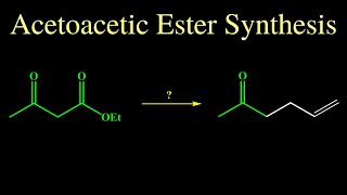 Acetoacetic Ester Synthesis [upl. by Sherrod]