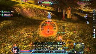 AionScript  Grinding Ranger Assist Part 1 of 2 [upl. by Ednutabab]